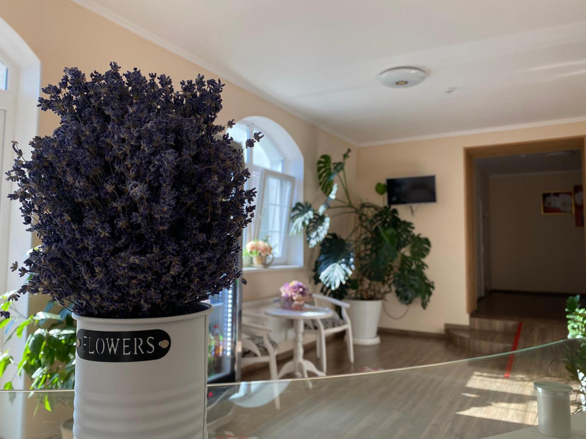 Орхідея Hotel Romny Ngoại thất bức ảnh